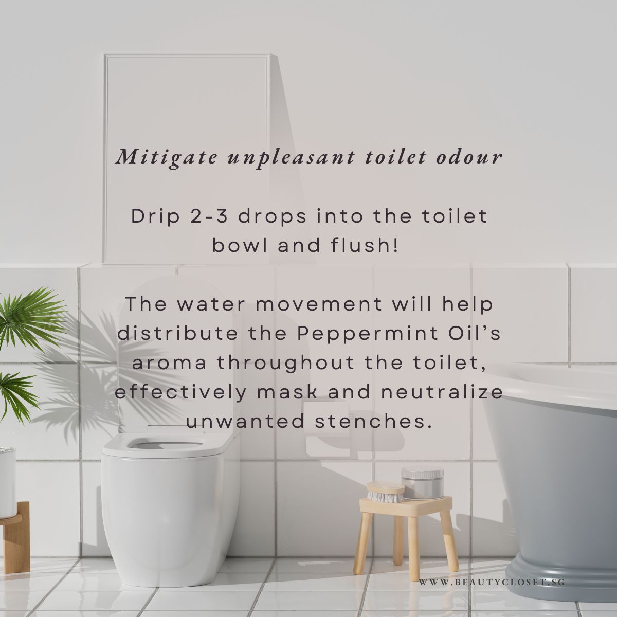 Peppermint English 🇬🇧 Essential Oil 10ml