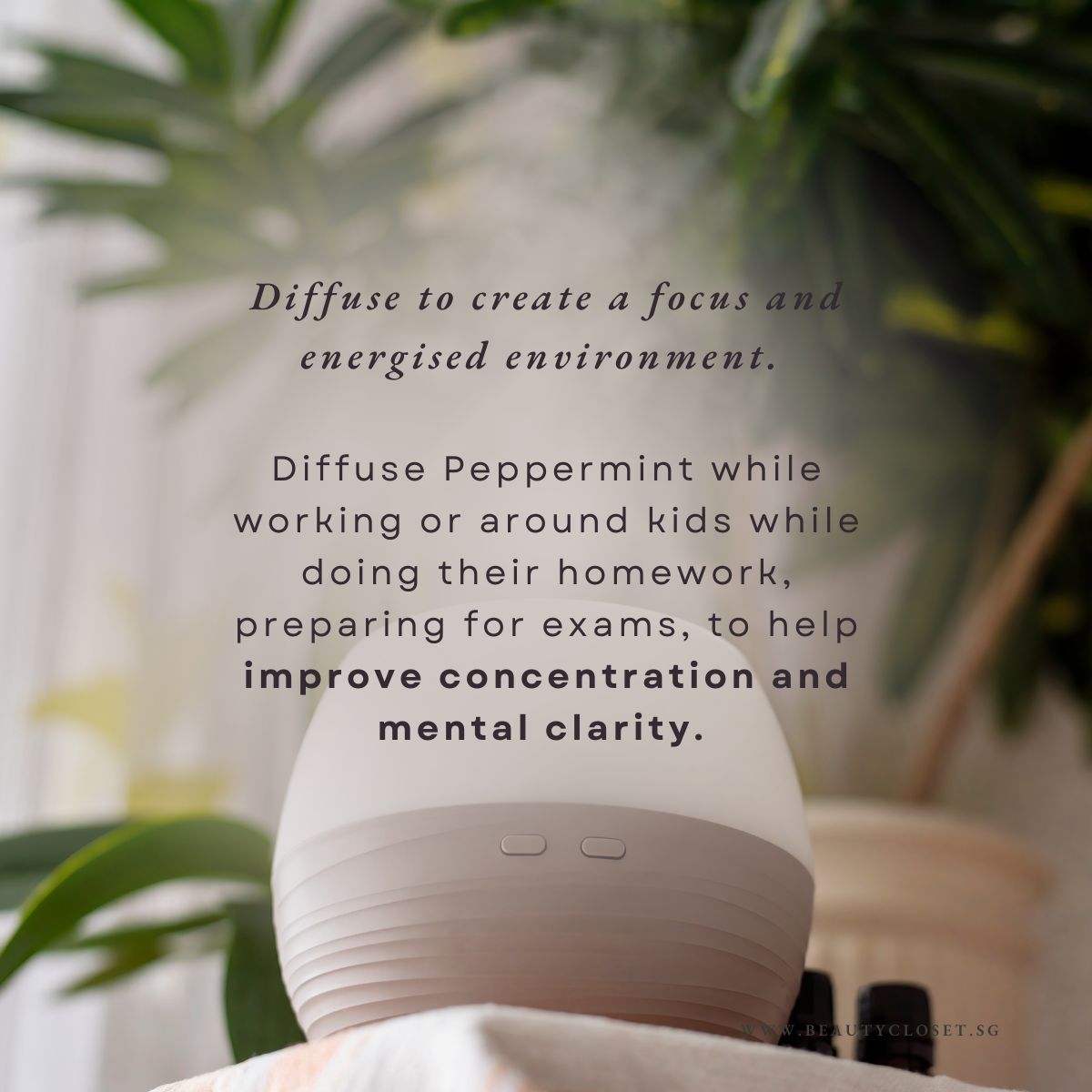 Peppermint English Essential Oil