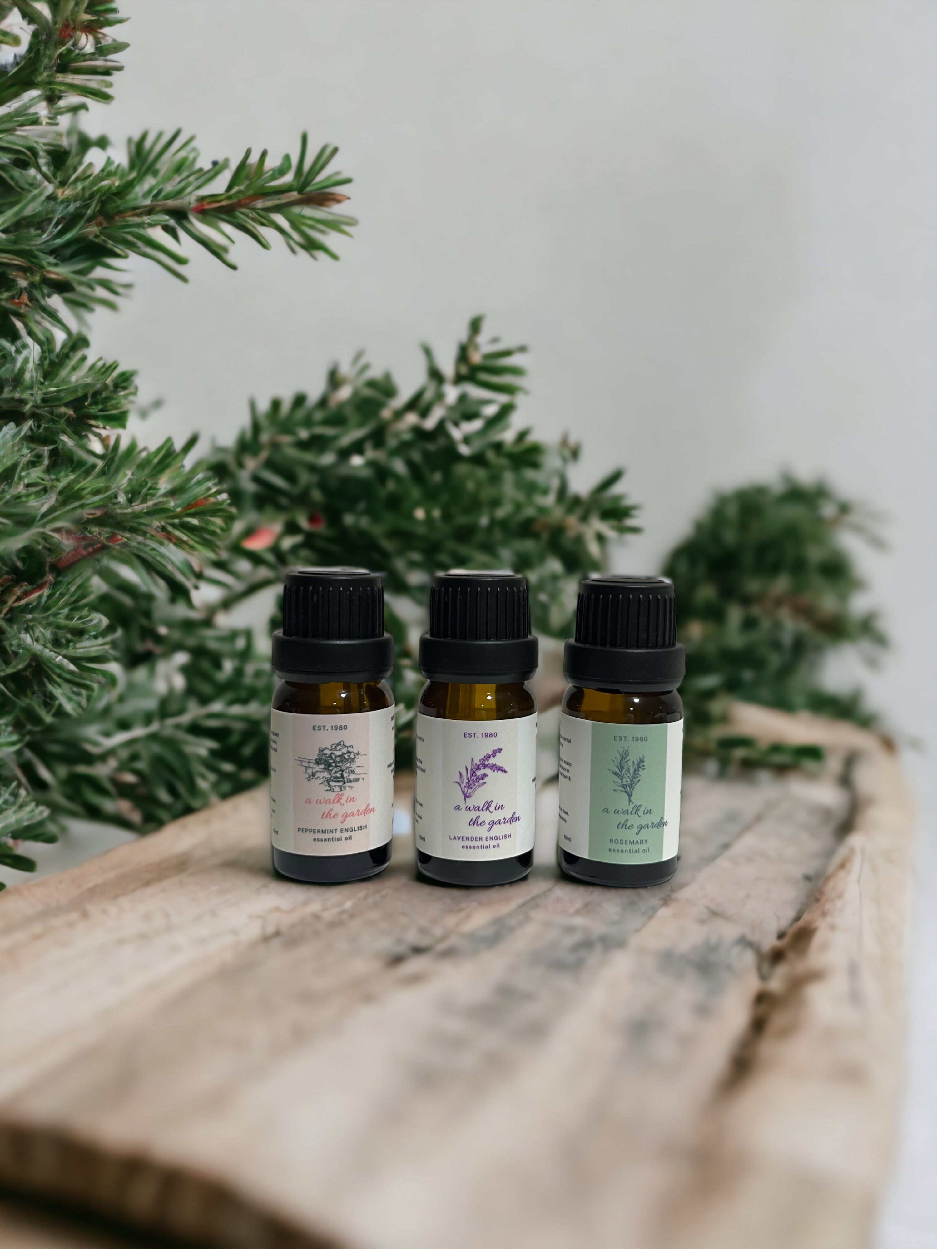 Rosemary Essential Oil 10ml