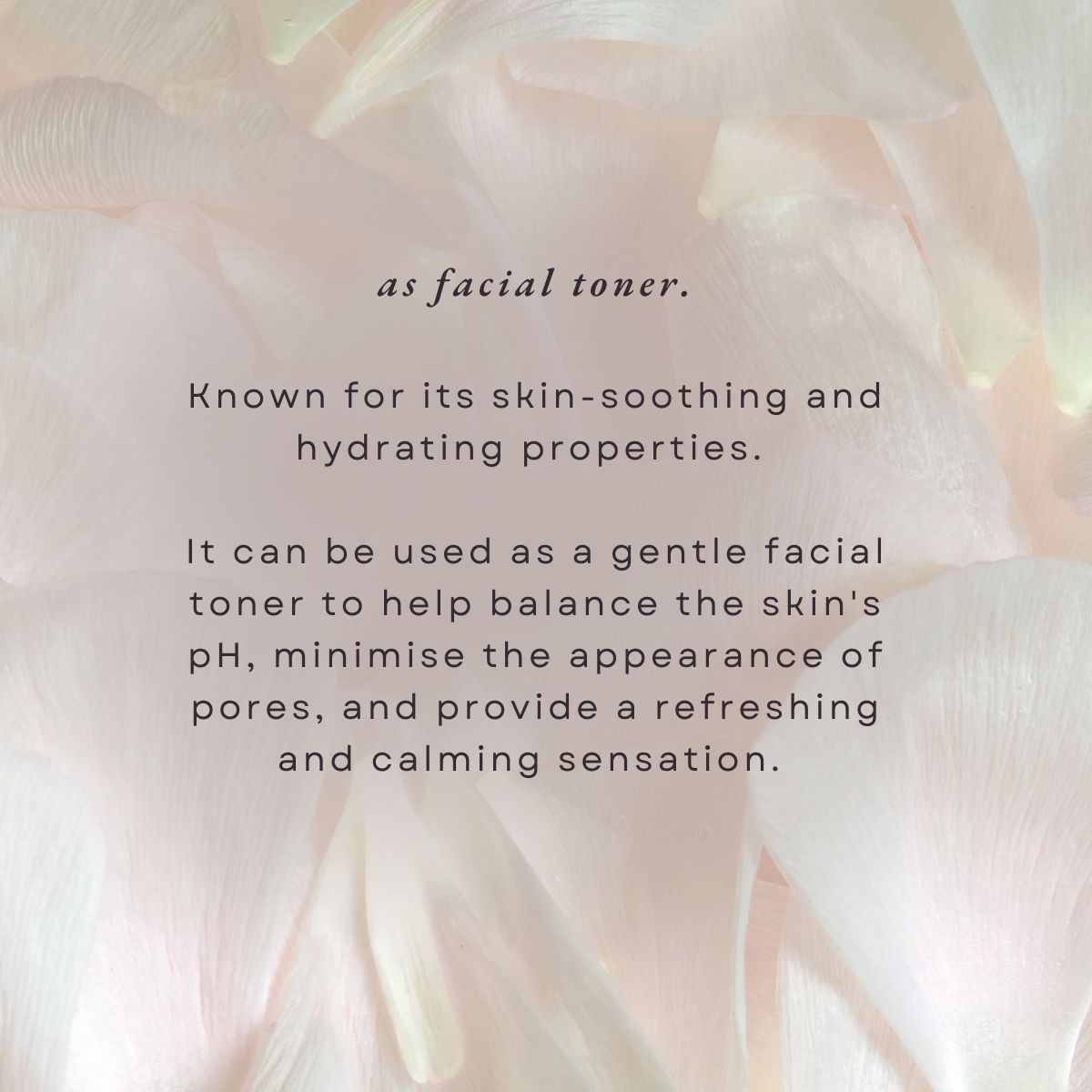 Bulgarian Rose Moisture Hydrosol (Mist) 100ml