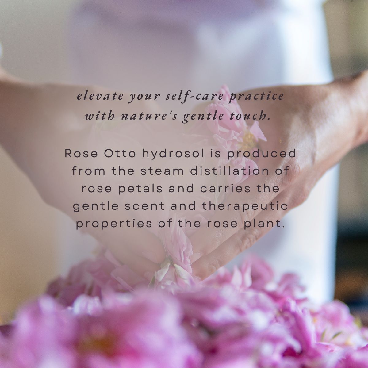 Bulgarian Rose Moisture Hydrosol (Mist) 100ml