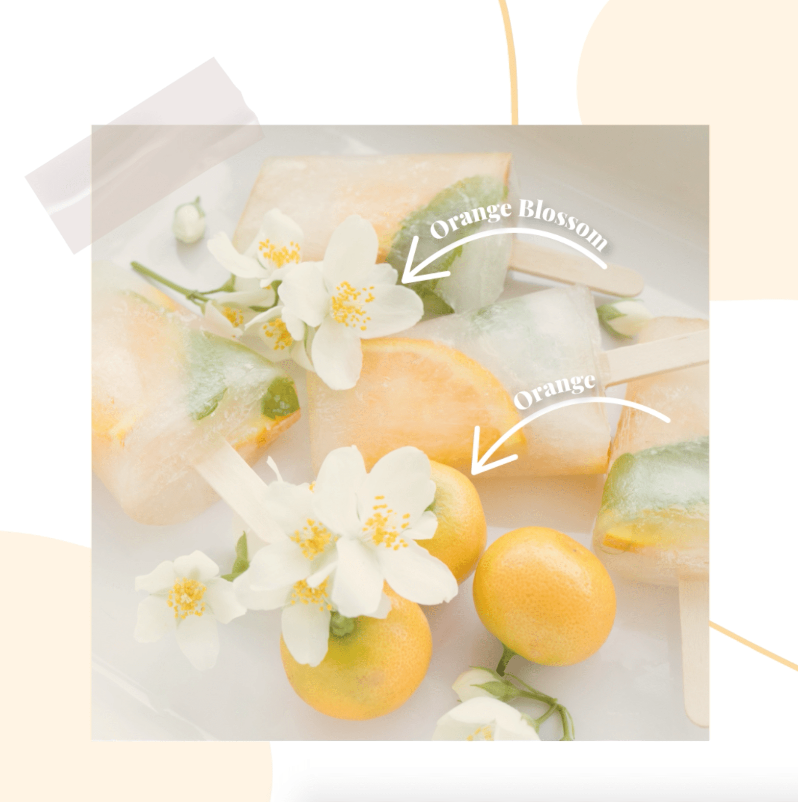 Organic Orange Blossom Hand Sanitizer