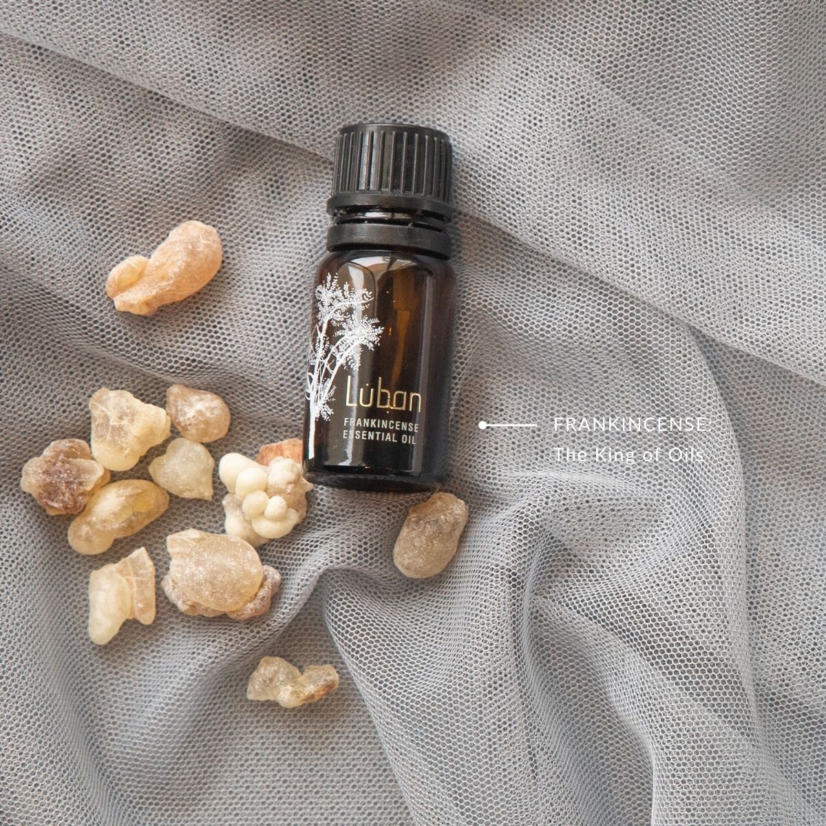 Frankincense is the king of oils