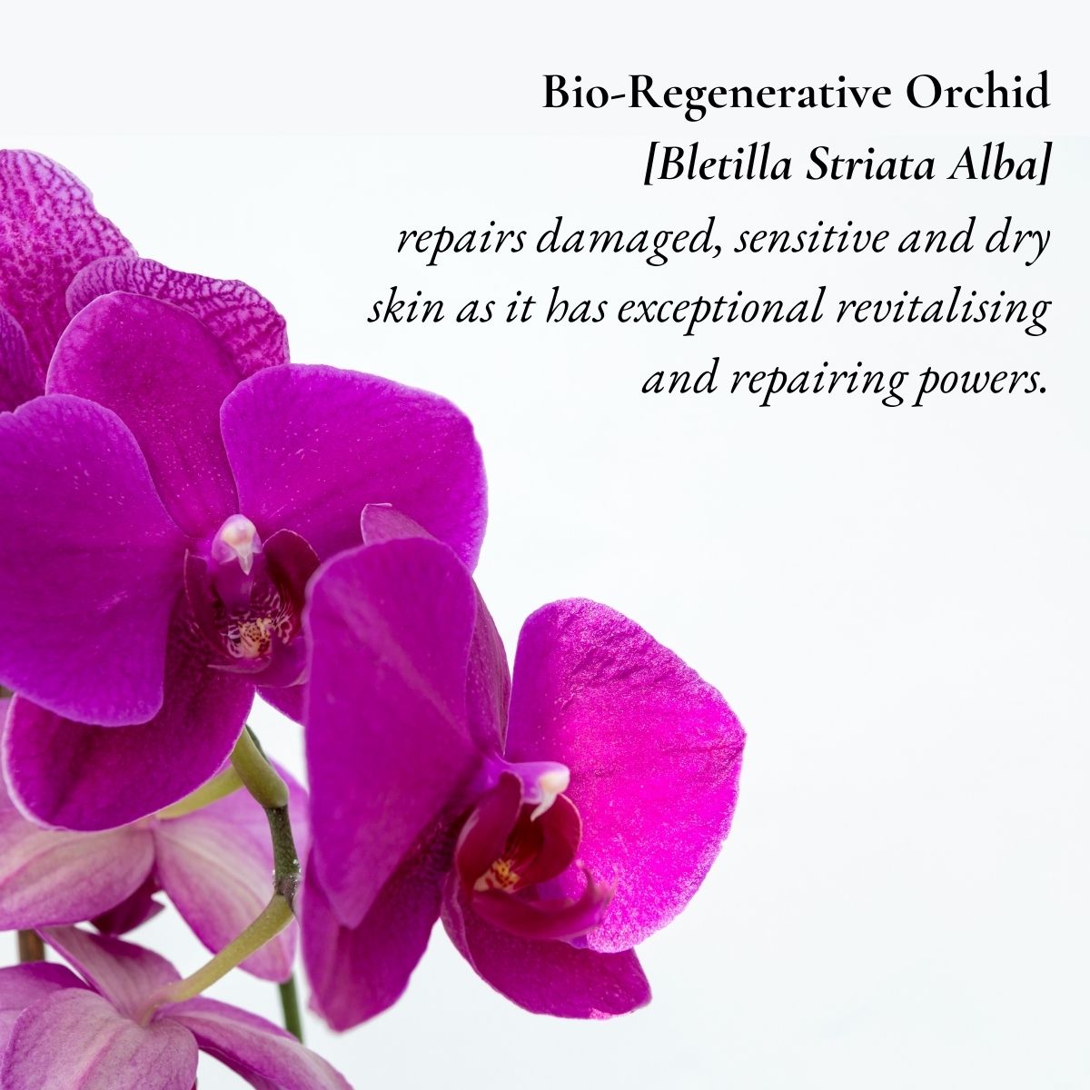 Bio-Regenerative Orchid has powerful repairing abilities