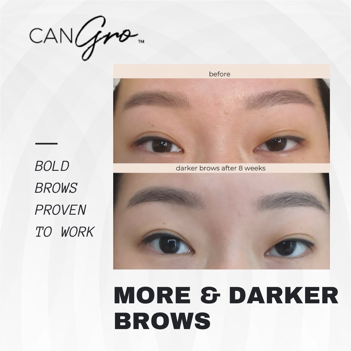 Bold Brows Eyebrow Enhancer (eyebrow growth serum) 🎁 with seasonal gift